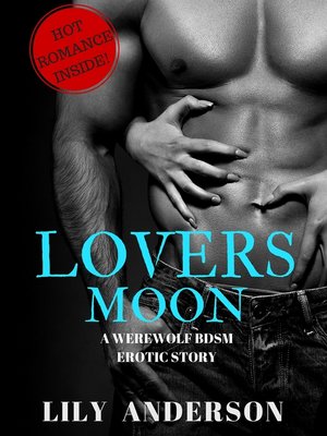 cover image of Lovers Moon